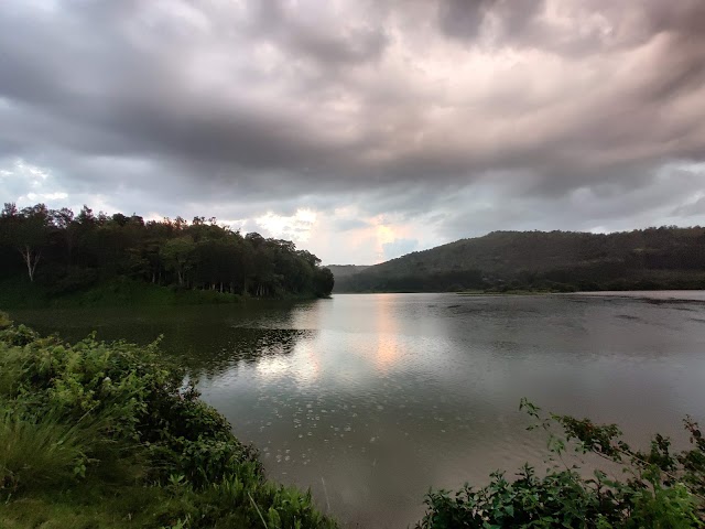 Bhadra Wildlife Sanctuary-5